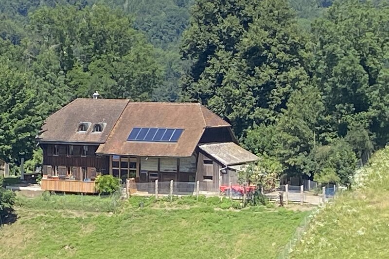 Foto